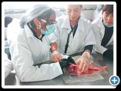 Actividades-varias-foto-1