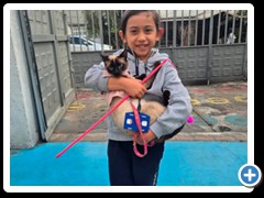 Desfile-de-mascotas-foto-15