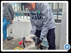 Desfile-de-mascotas-foto-16