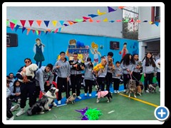 Desfile-de-mascotas-foto-17