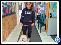 Desfile-de-mascotas-foto-2