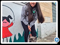Desfile-de-mascotas-foto-20