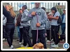 Desfile-de-mascotas-foto-24