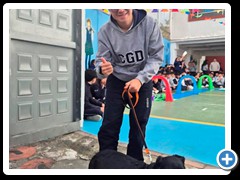 Desfile-de-mascotas-foto-25