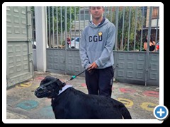 Desfile-de-mascotas-foto-4
