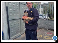 Desfile-de-mascotas-foto-5