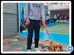 Desfile-de-mascotas-foto-6