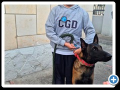 Desfile-de-mascotas-foto-8